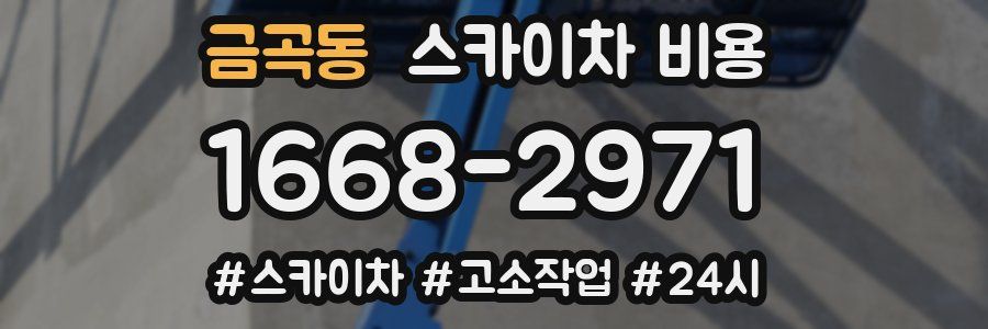 금곡동 스카이차 비용
