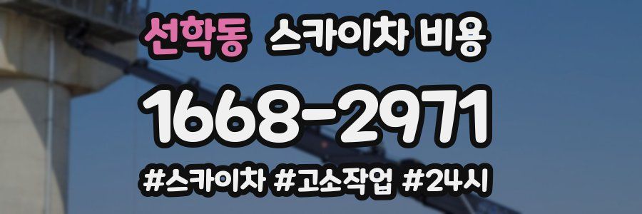 선학동 스카이차 비용