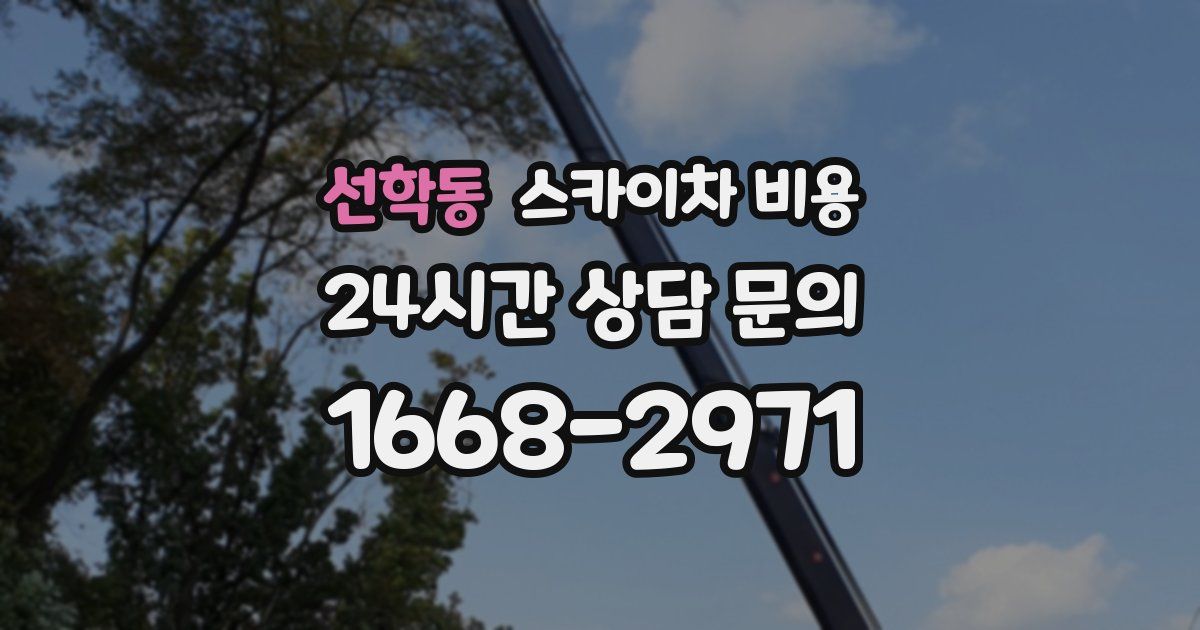 선학동 스카이차 비용