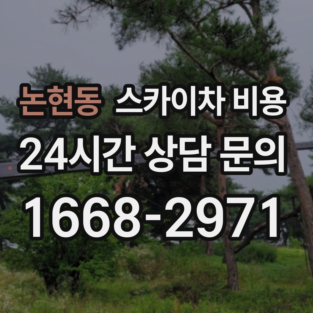 논현동 스카이차 비용