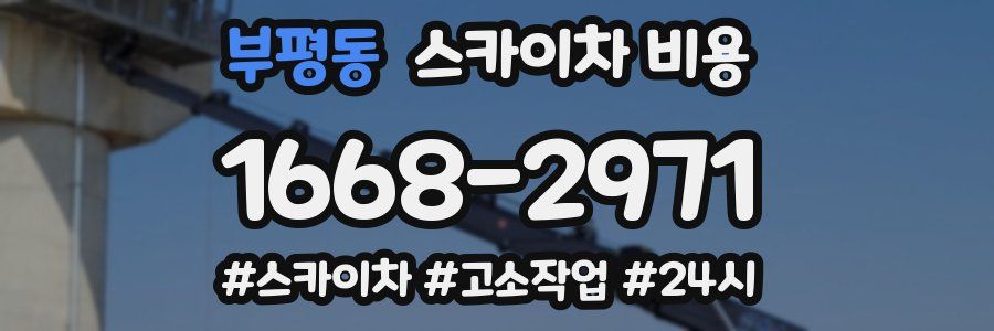 부평동 스카이차 비용