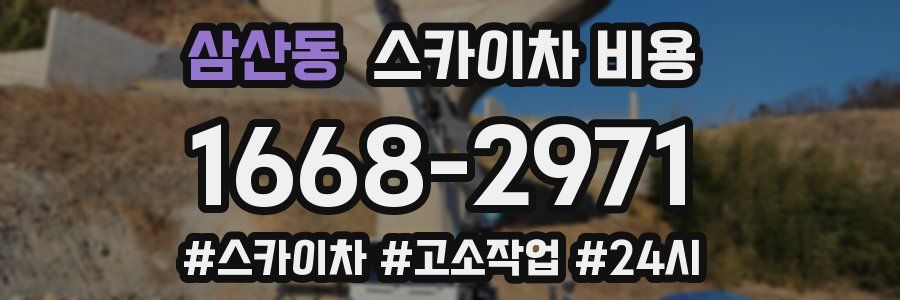 삼산동 스카이차 비용