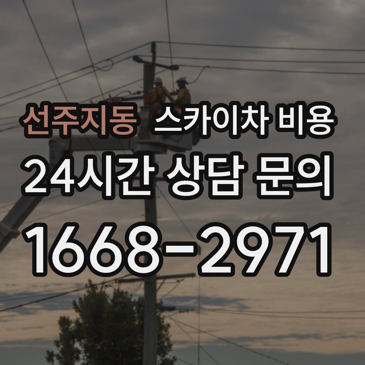 선주지동 스카이차 비용 가지치기 작업은 바람이 변수인 이유