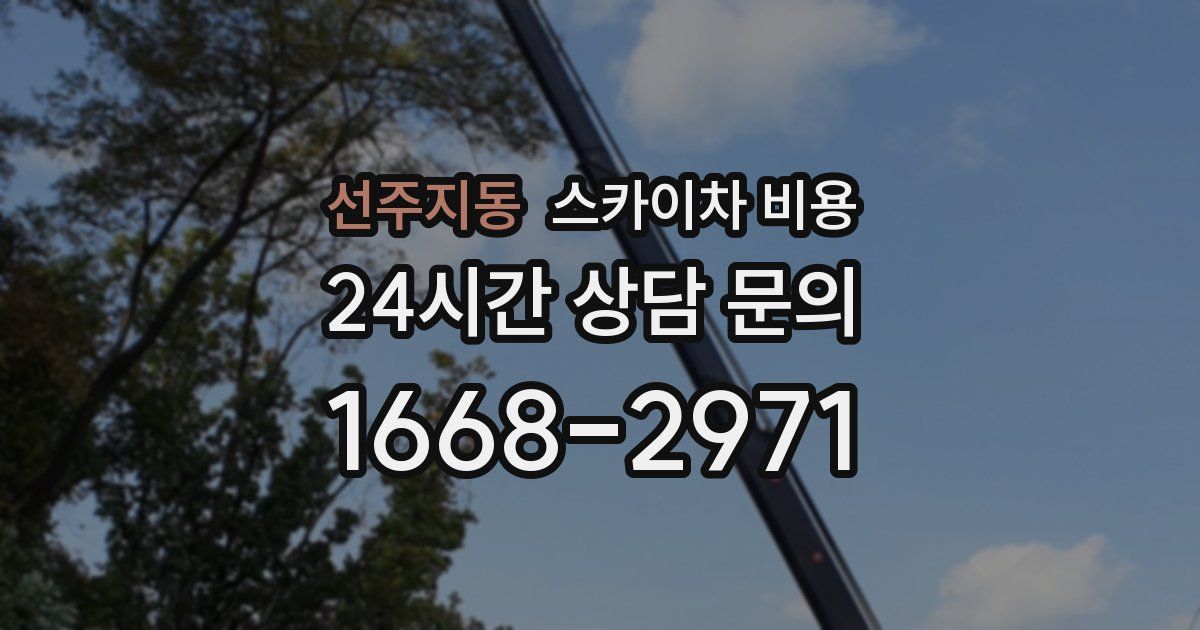 선주지동 스카이차 비용