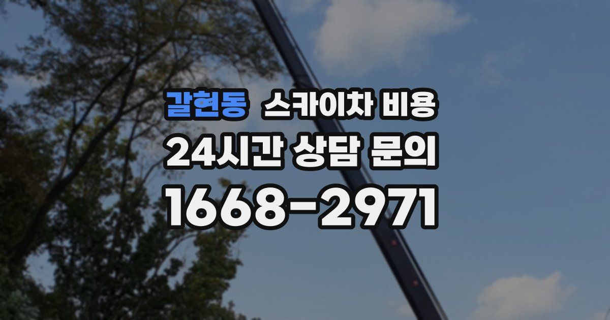 갈현동 스카이차 비용