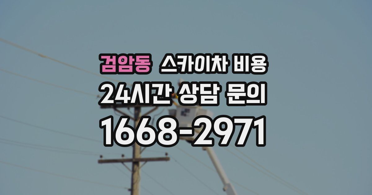 검암동 스카이차 비용