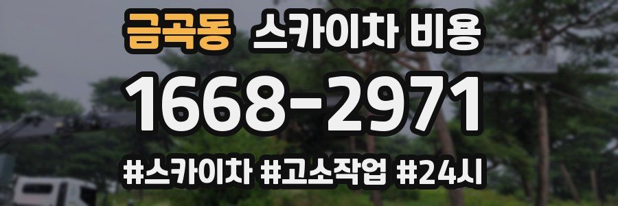 금곡동 스카이차 비용