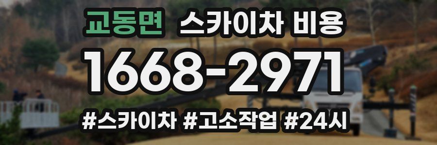 교동면 스카이차 비용