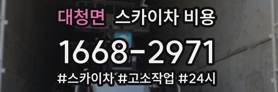 대청면 스카이차 비용