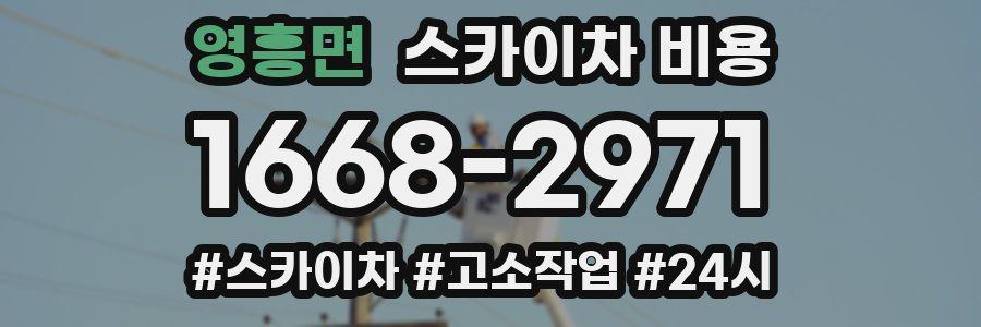 영흥면 스카이차 비용