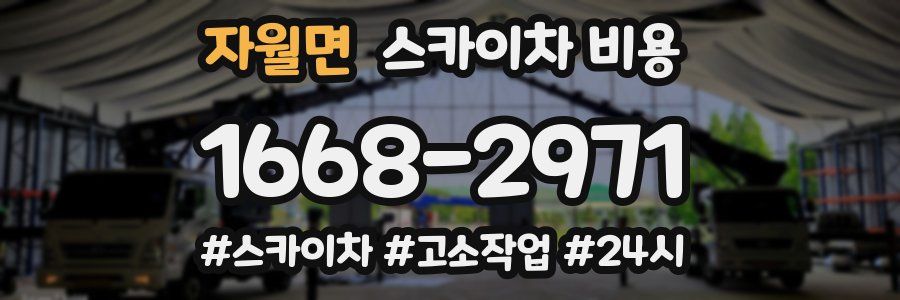 자월면 스카이차 비용