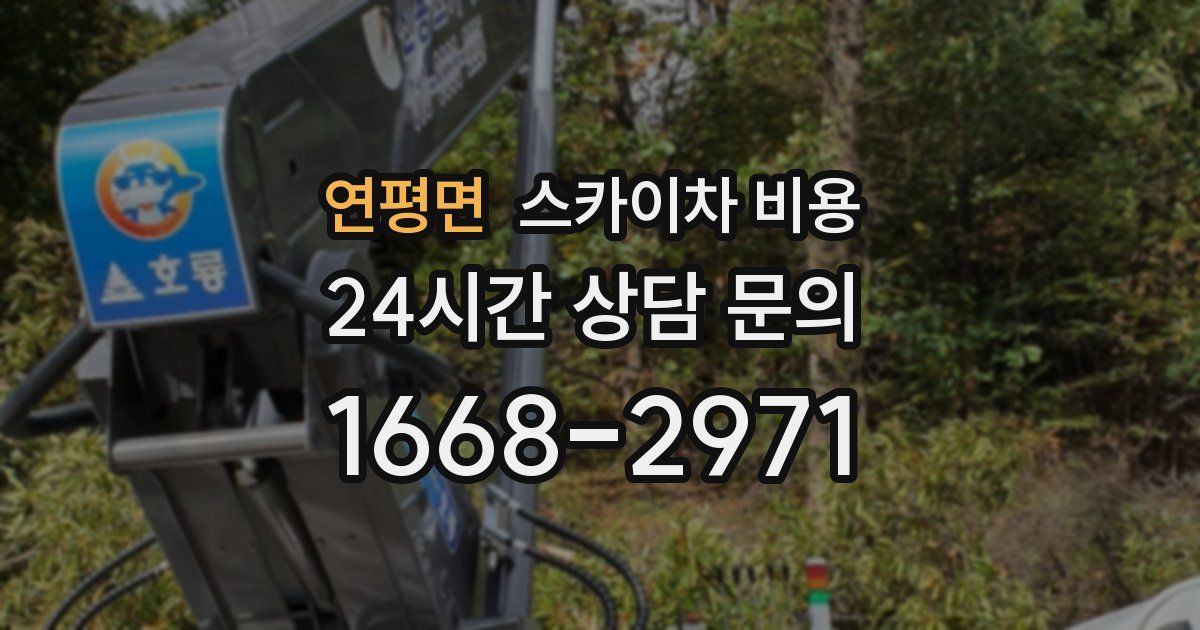 연평면 스카이차 비용