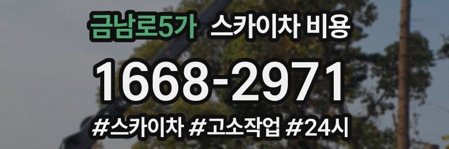 금남로5가 스카이차 비용