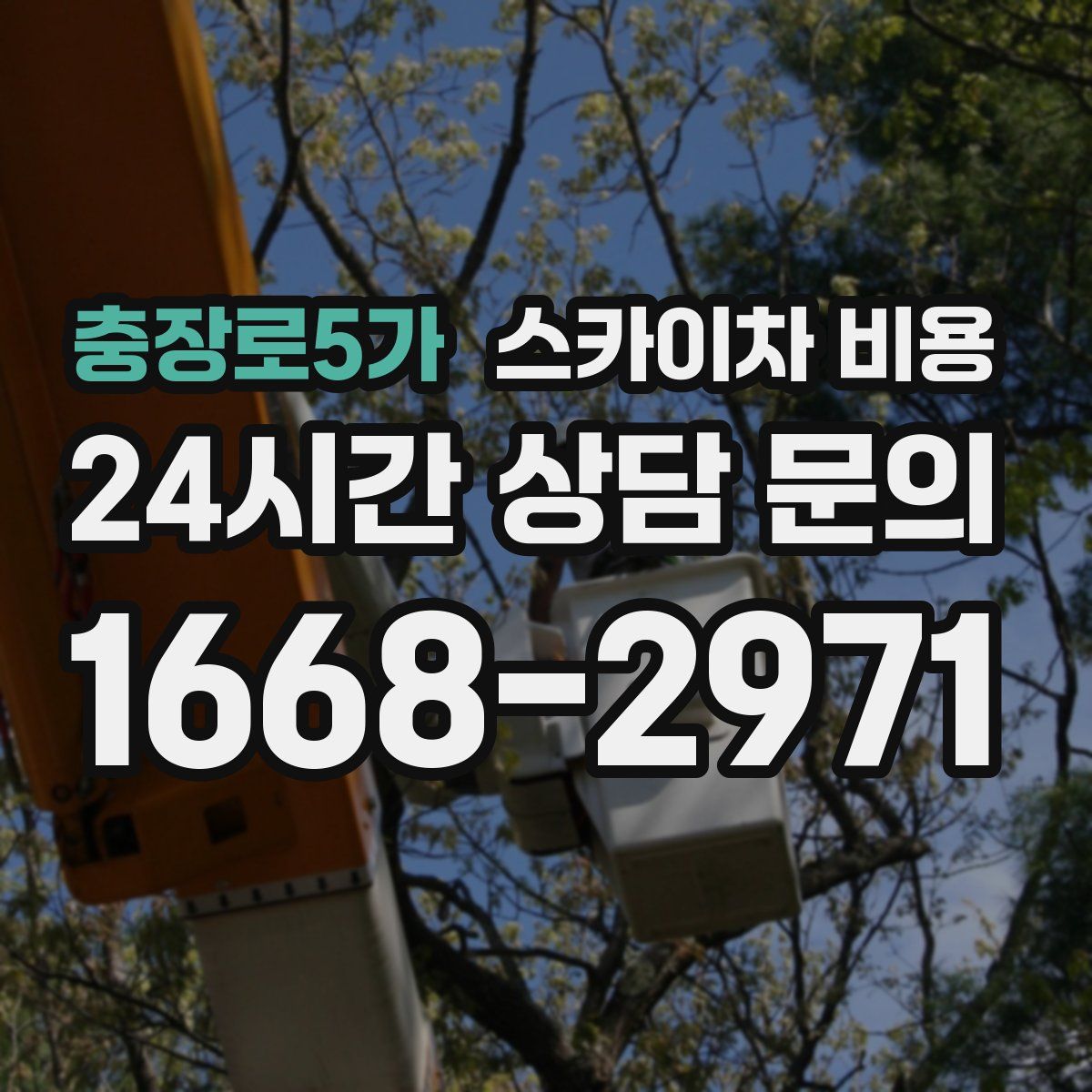 충장로5가 스카이차 비용