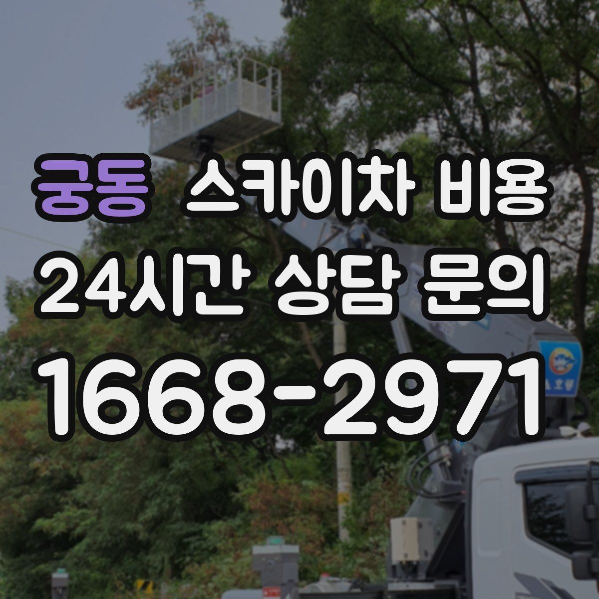 궁동 스카이차 비용 장비가 서야 하는 위치부터 확인하세요