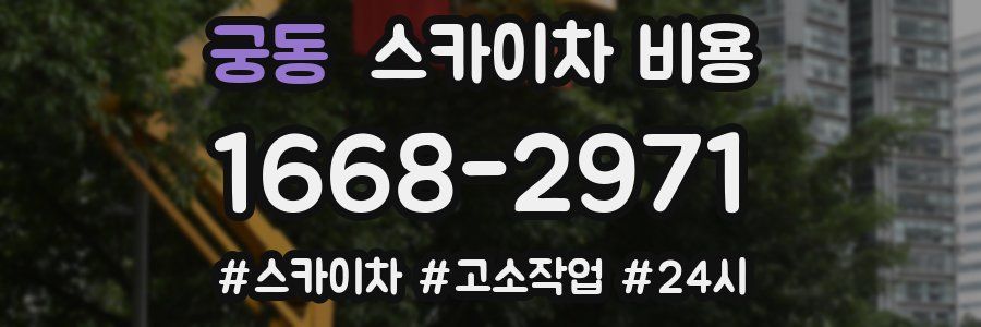 궁동 스카이차 비용