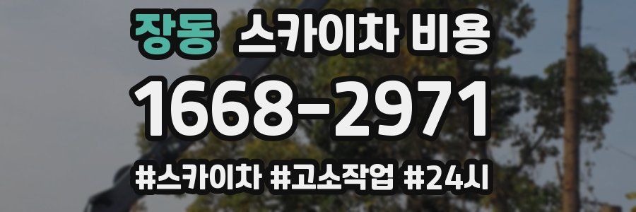 장동 스카이차 비용