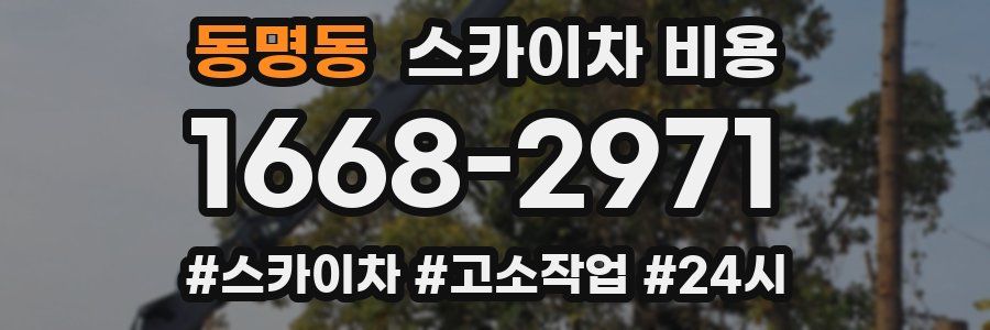 동명동 스카이차 비용