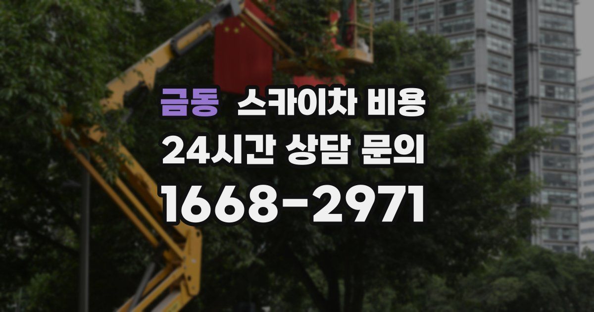 금동 스카이차 비용
