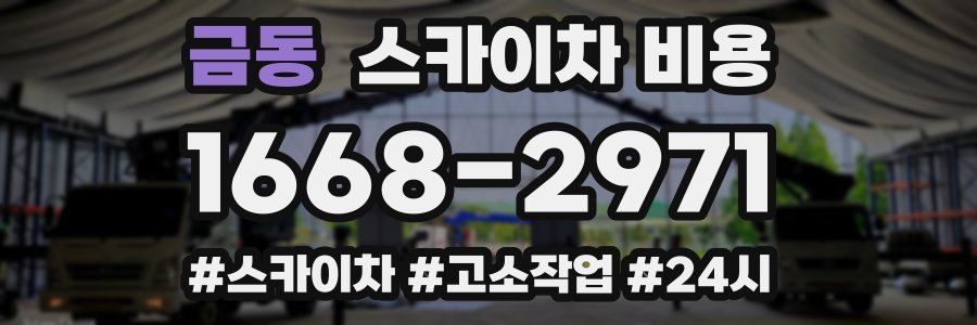 금동 스카이차 비용