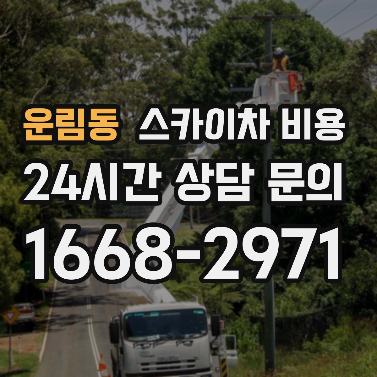 운림동 스카이차 비용