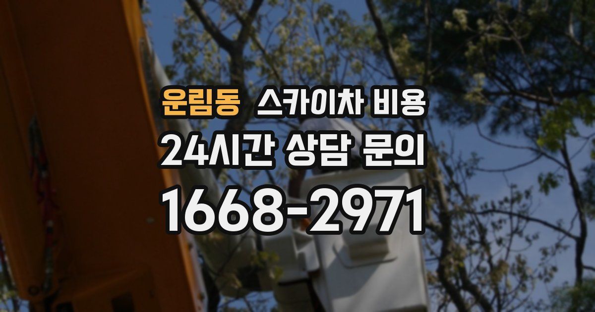 운림동 스카이차 비용