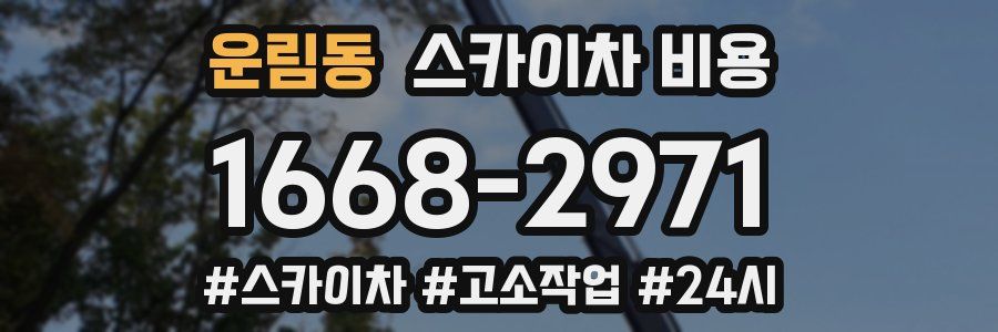 운림동 스카이차 비용