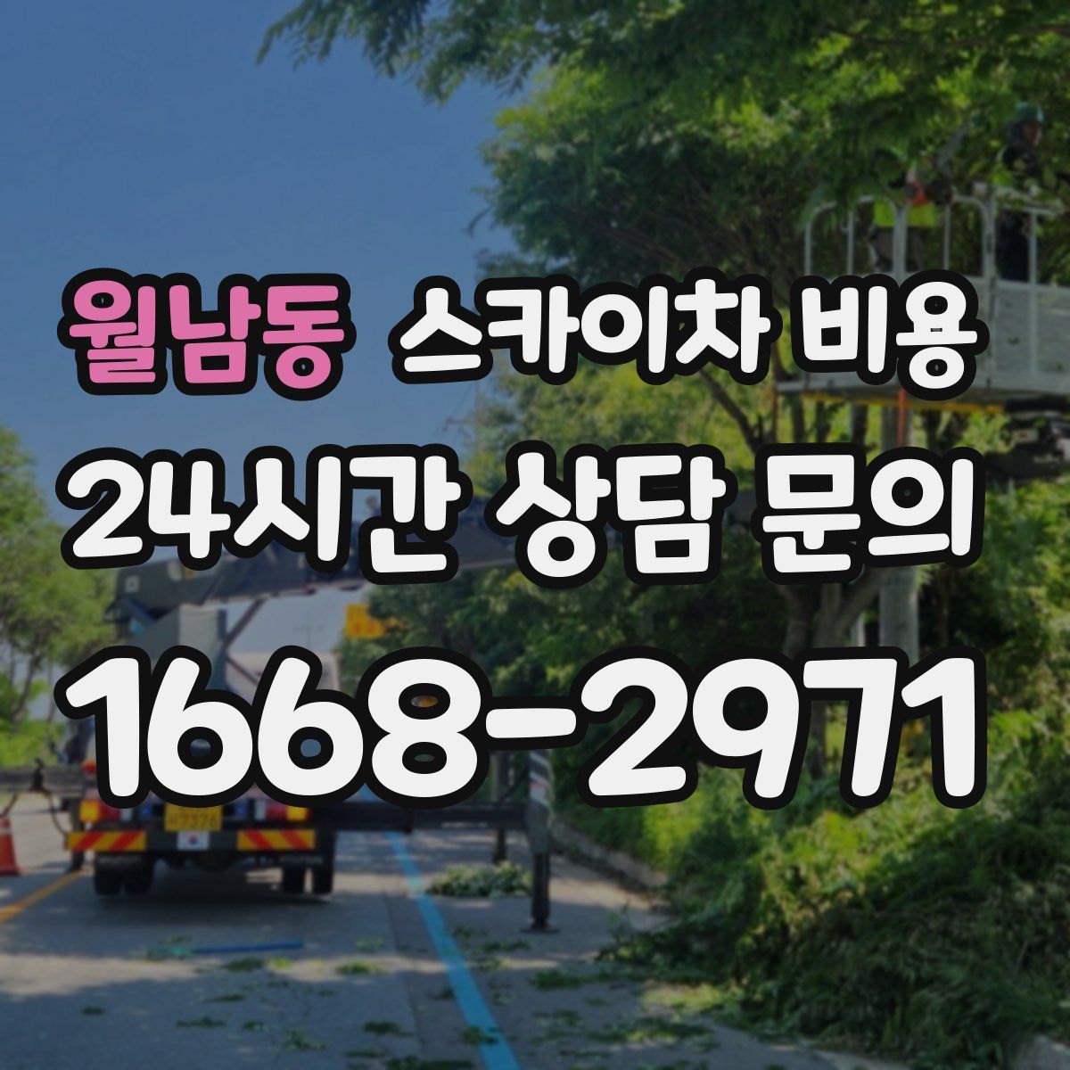 월남동 스카이차 비용