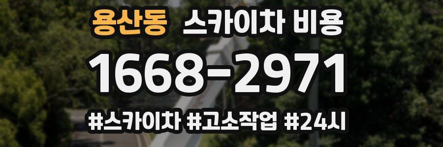 용산동 스카이차 비용