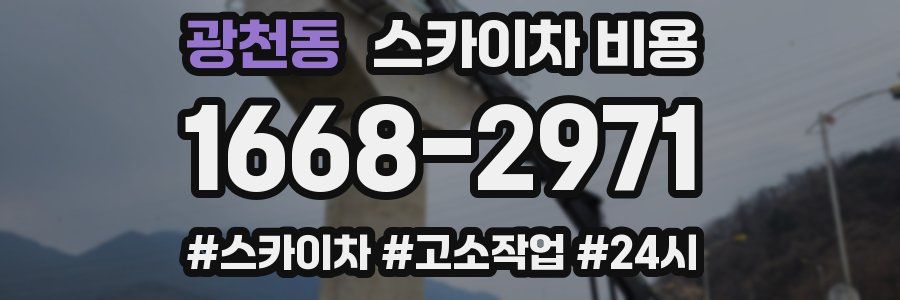 광천동 스카이차 비용