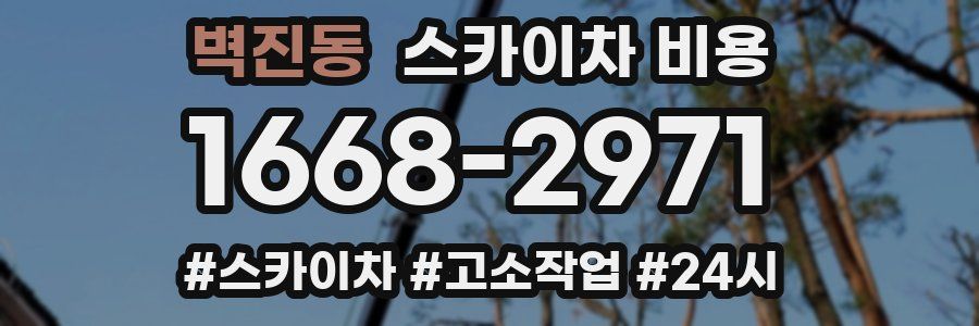 벽진동 스카이차 비용