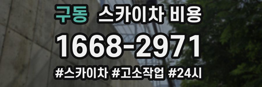 구동 스카이차 비용