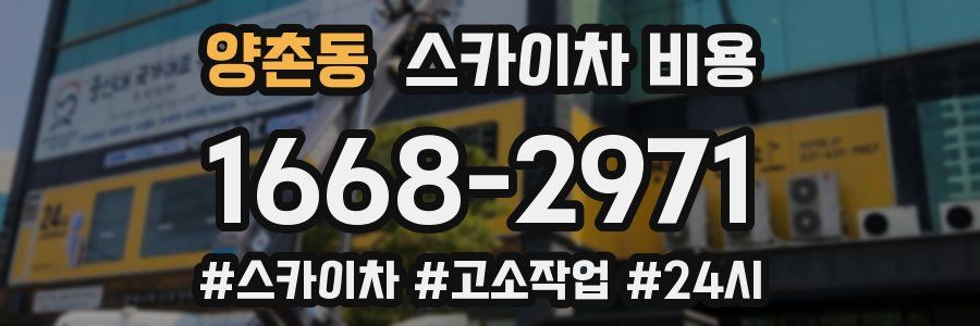 양촌동 스카이차 비용