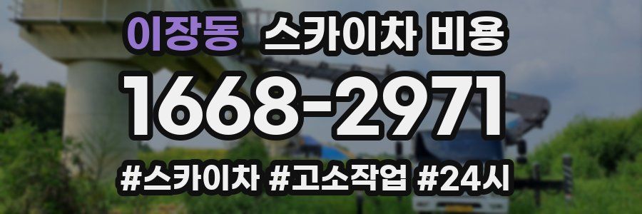이장동 스카이차 비용