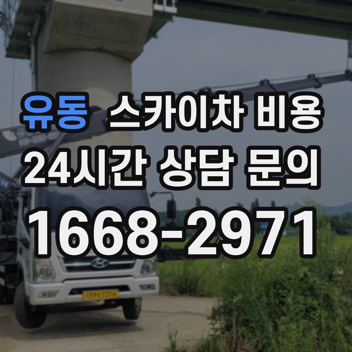 유동 스카이차 비용