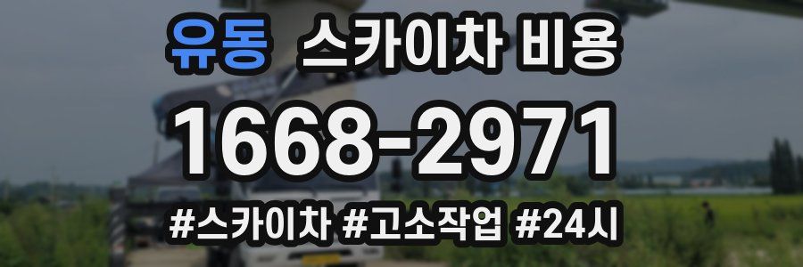 유동 스카이차 비용