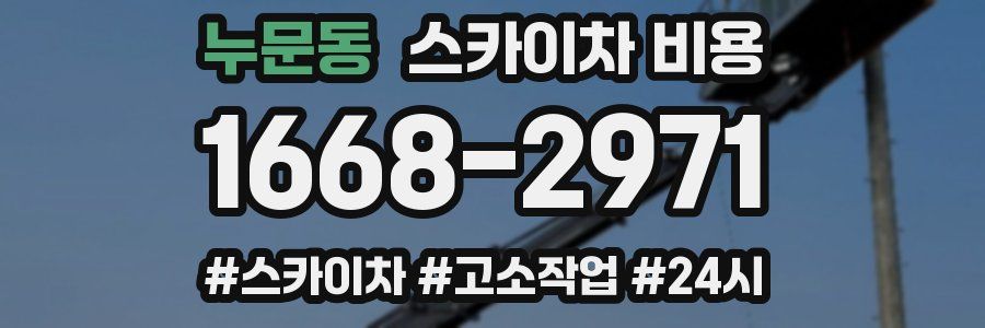 누문동 스카이차 비용