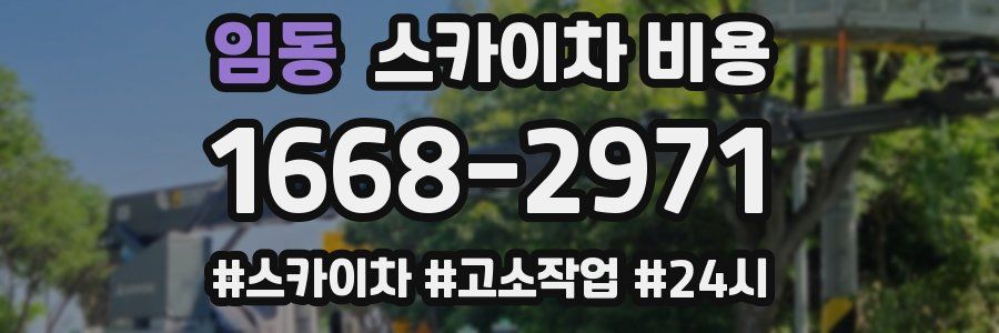 임동 스카이차 비용