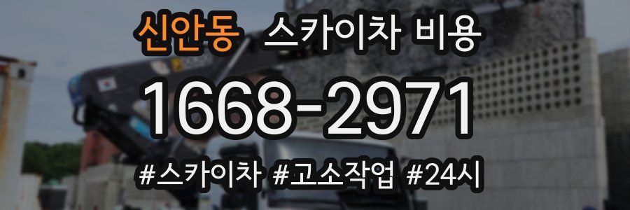 신안동 스카이차 비용