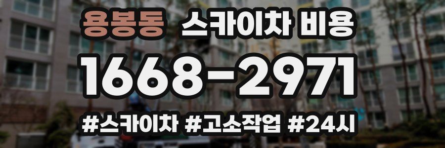 용봉동 스카이차 비용