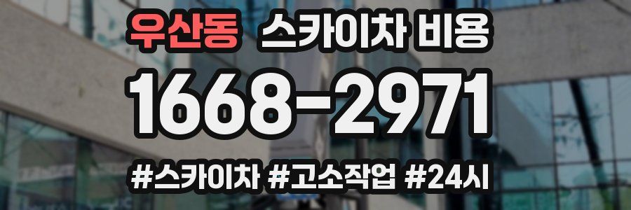 우산동 스카이차 비용