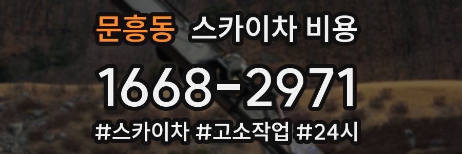 문흥동 스카이차 비용