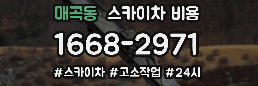 매곡동 스카이차 비용