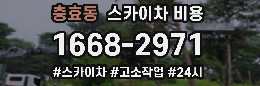 충효동 스카이차 비용