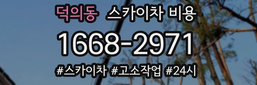 덕의동 스카이차 비용