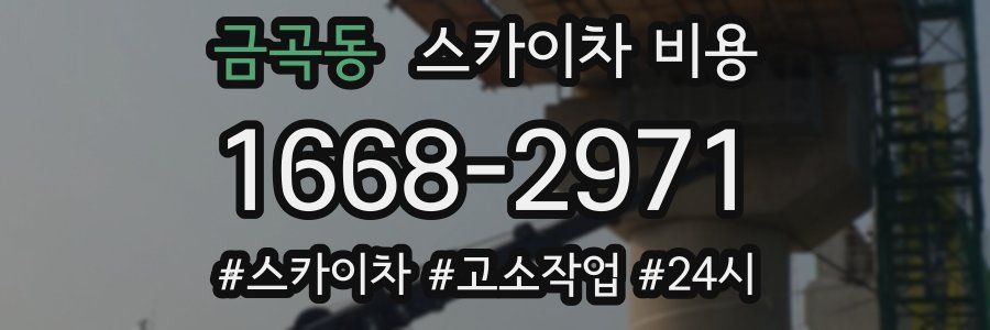 금곡동 스카이차 비용