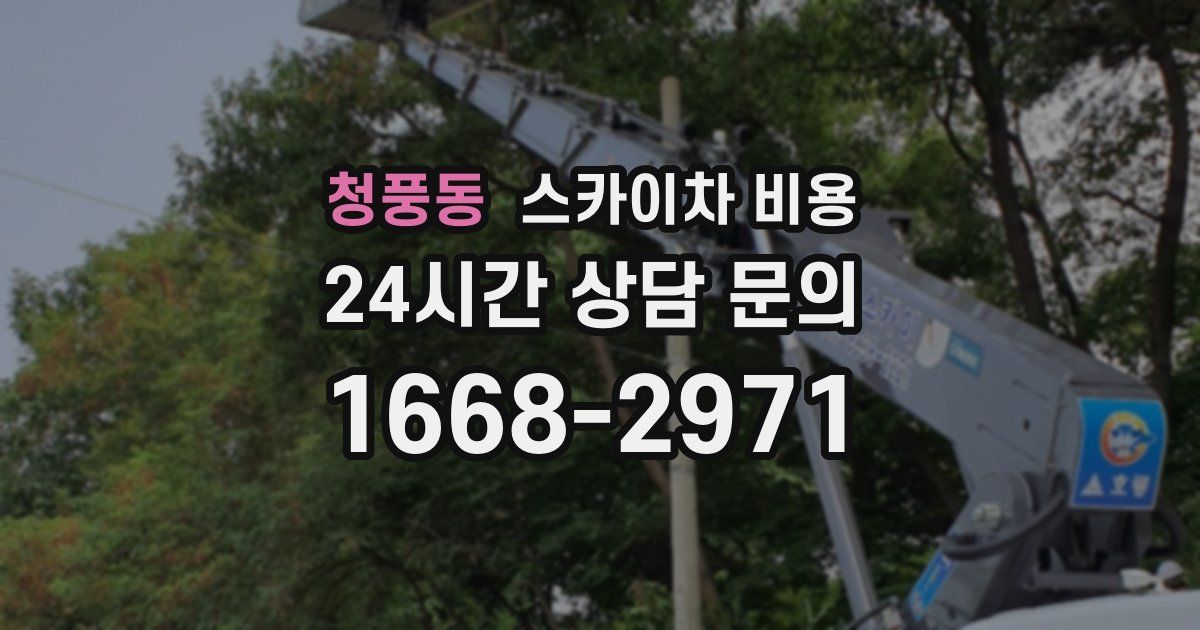 청풍동 스카이차 비용