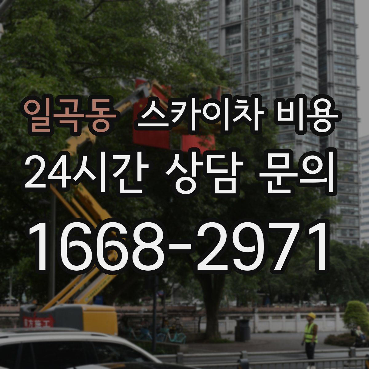 일곡동 스카이차 비용