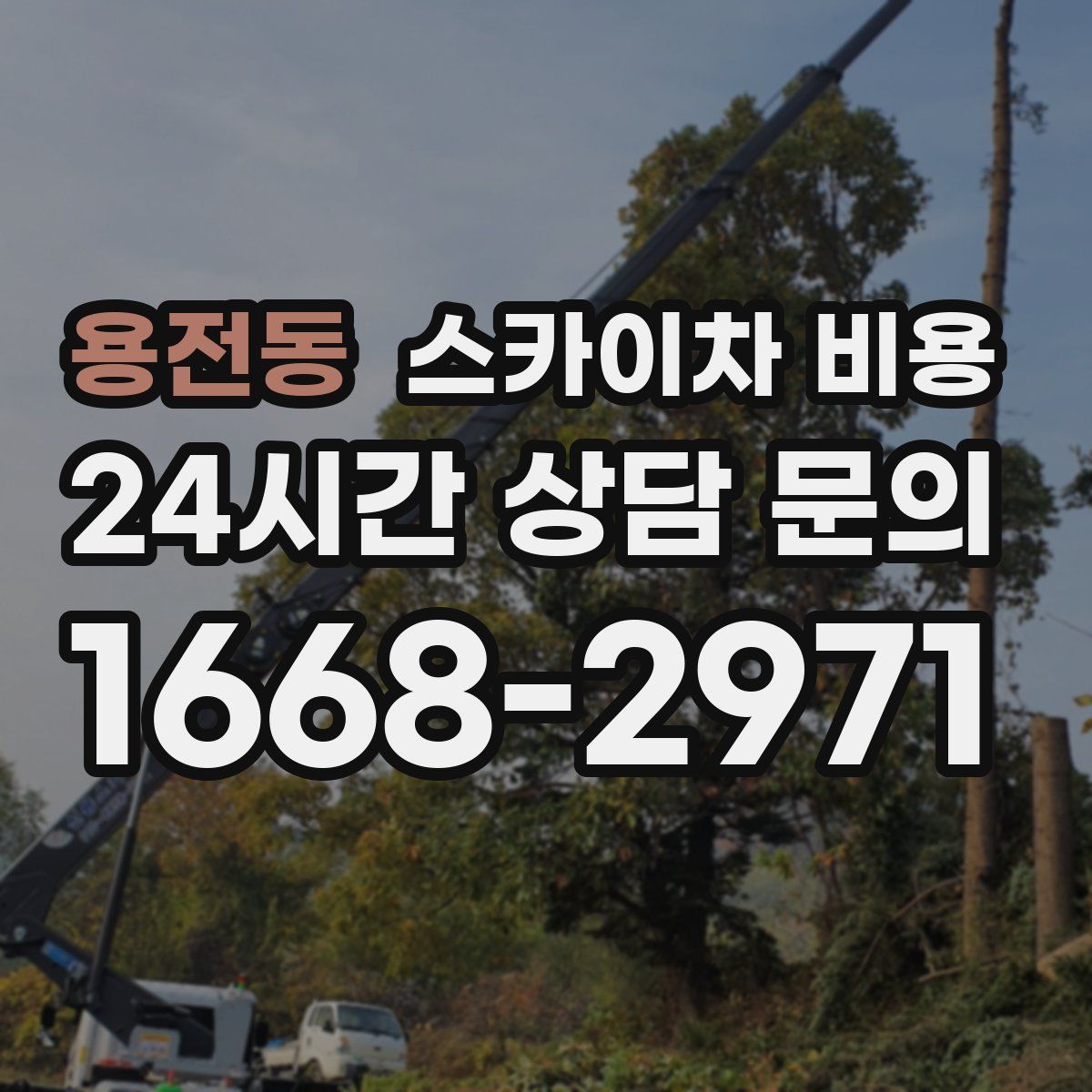 용전동 스카이차 비용