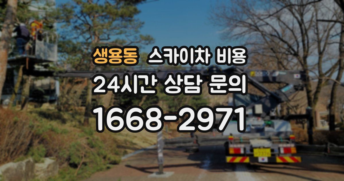 생용동 스카이차 비용